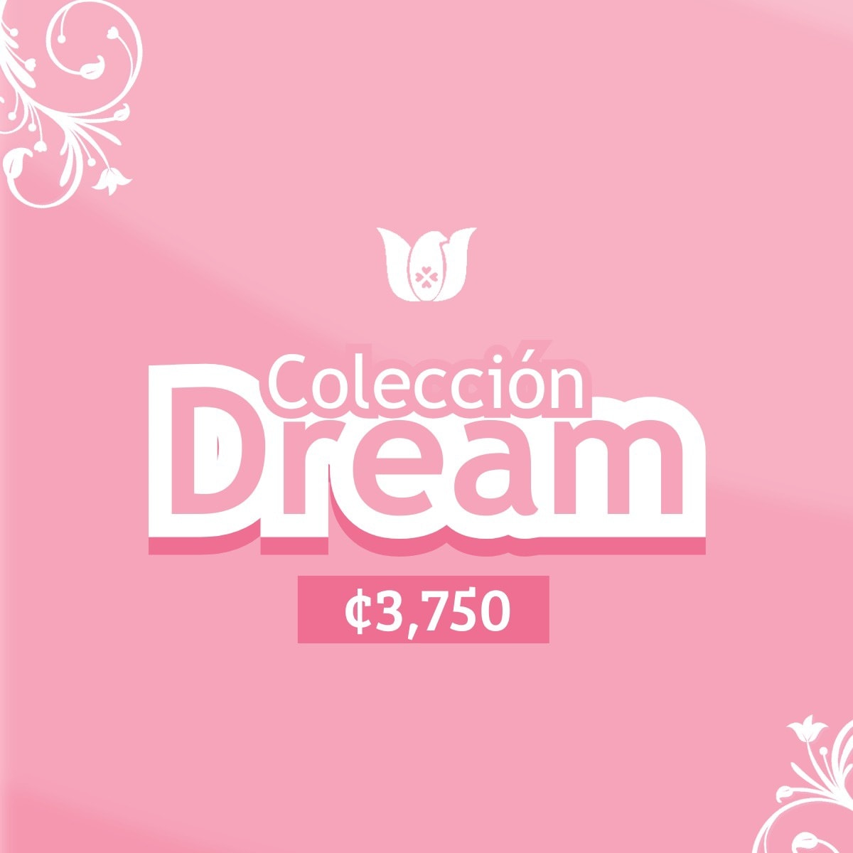 526325143_1177066787799017_4442990210277169038_n